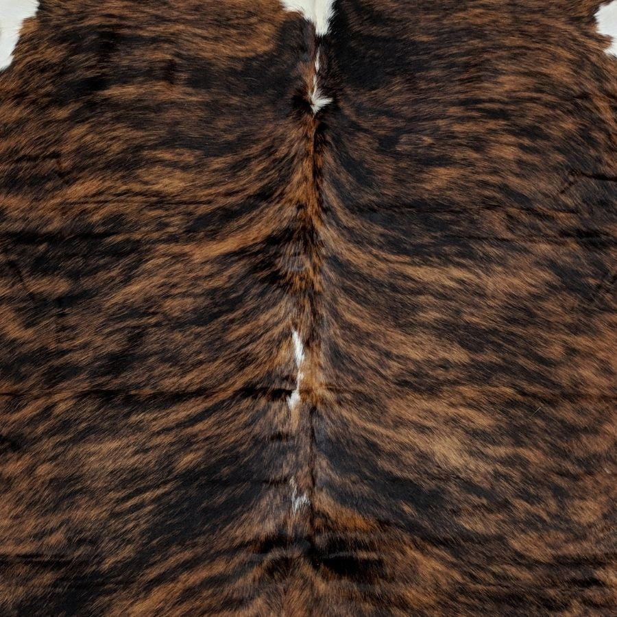 Close-up view of the natural spine and hair direction of a large exotic brindle cowhide rug with brown and tan markings