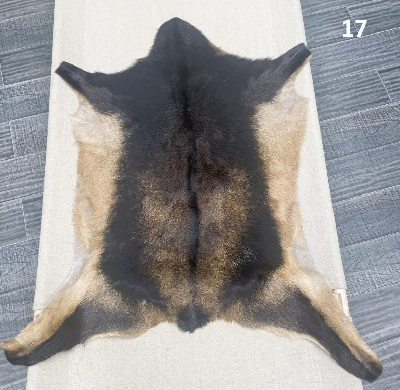 Natural Goatskin - 17