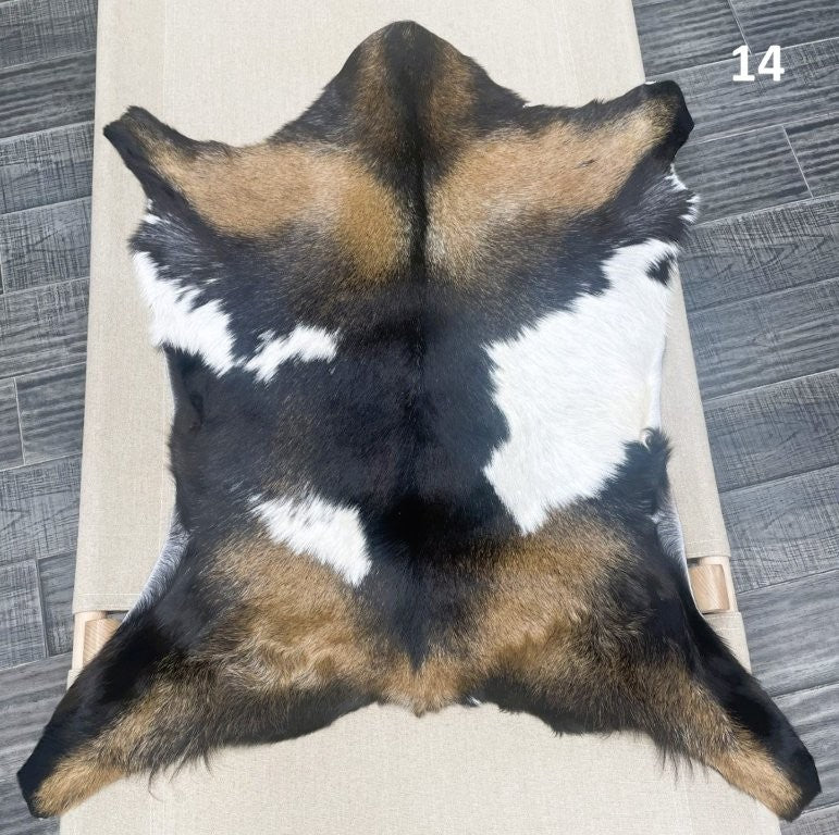 Natural goatskin hide rug shown individually