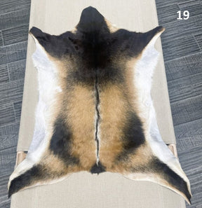 Natural goatskin hide rug shown individually