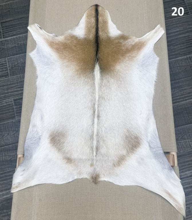Natural goatskin hide rug shown individually