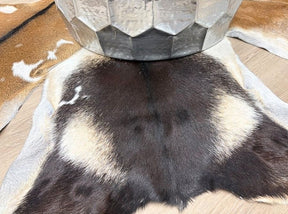 Close-up of a natural goatskin hide rug showing contrasting markings and hair texture