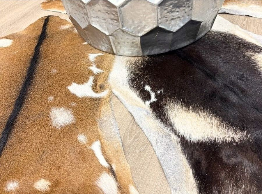 Natural goatskin hide rugs styled together showing varied markings and colour tones