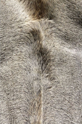 Close-up detail of a grey cowhide rug showing smooth natural hair texture and tonal variation