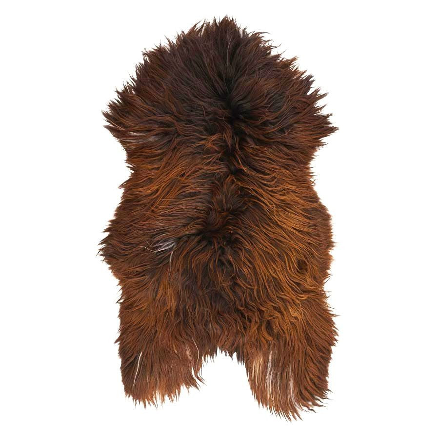 Full Icelandic sheepskin rug in brown with auburn tips photographed on a white background