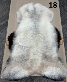 Icelandic Sheepskin Rug – Shorn, Dark Edged