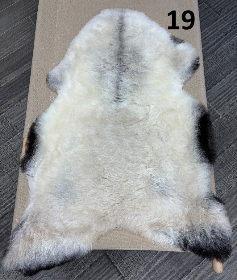 Icelandic Shorn Sheepskin Dark Edges - 19