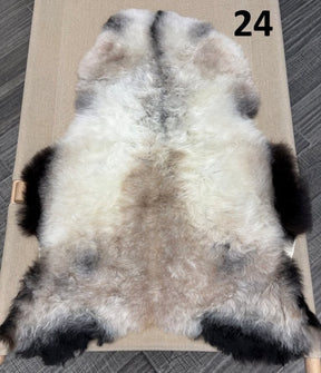 Icelandic Sheepskin Rug – Shorn, Dark Edged