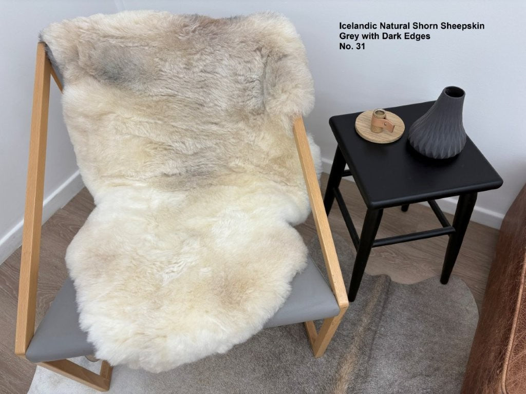 Icelandic Shorn Sheepskin Dark Edges - 31