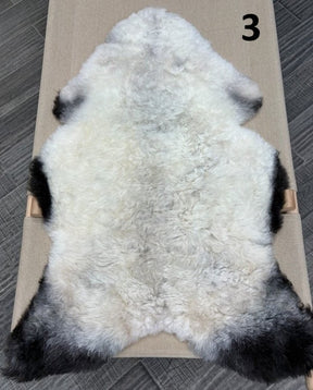 Icelandic Sheepskin Rug – Shorn, Dark Edged