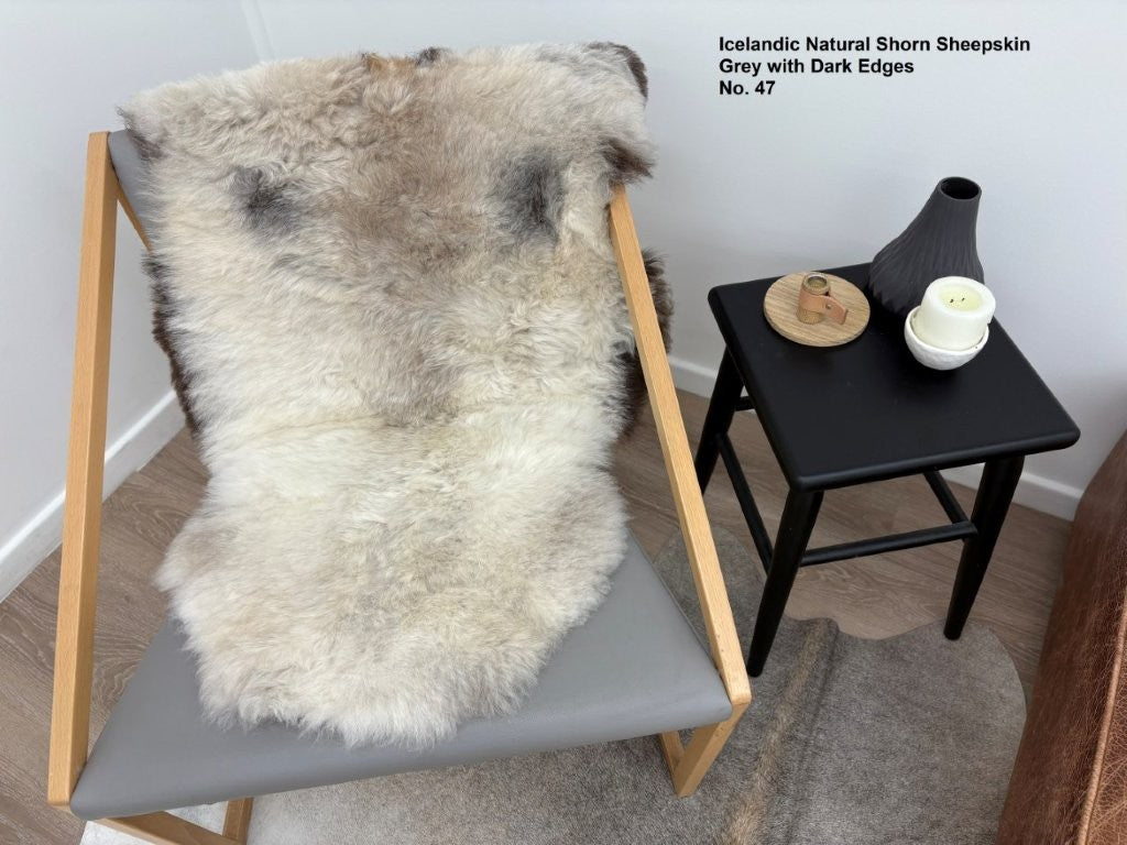Icelandic Shorn Sheepskin Rug - Dark Edges
