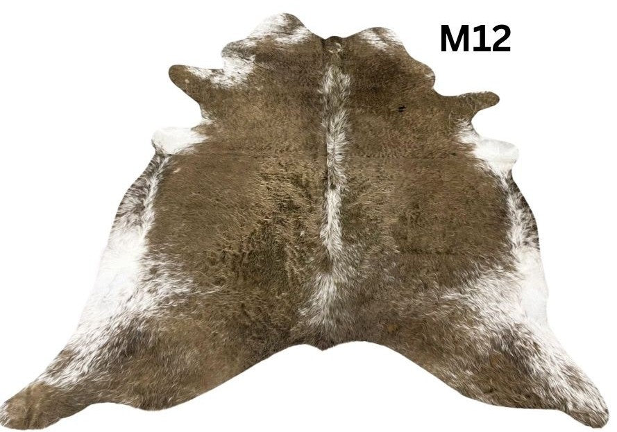 Mocha latte cowhide rug number 12 with natural tonal variation and markings on a white background