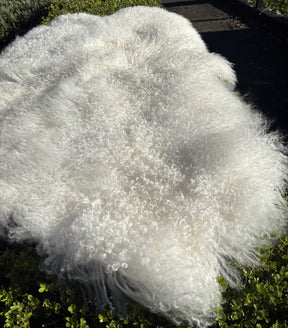 Curly fleece texture of a natural white Mongolian sheepskin area rug made from four hides
