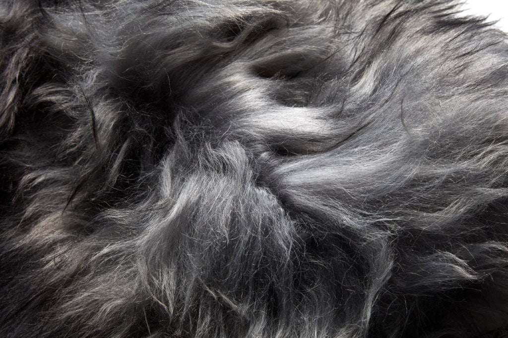 Icelandic Sheepskin Rug - Natural Mix