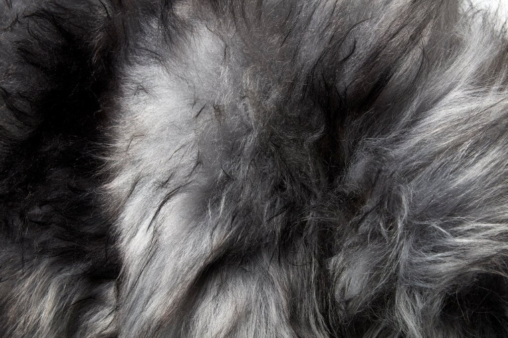Icelandic Sheepskin Rug - Natural Mix