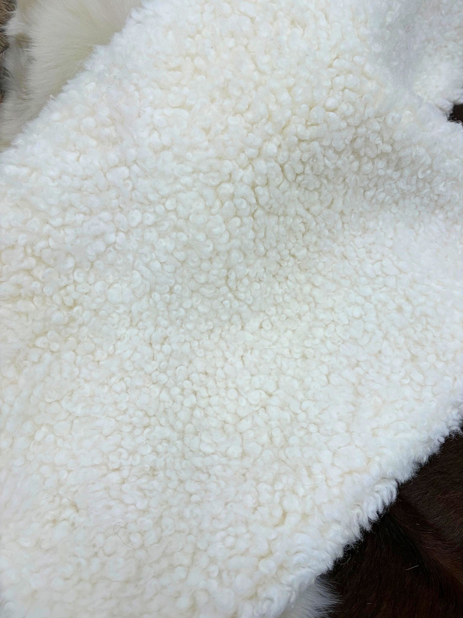 Close-up of natural white shearling rug showing compact, tightly curled wool texture