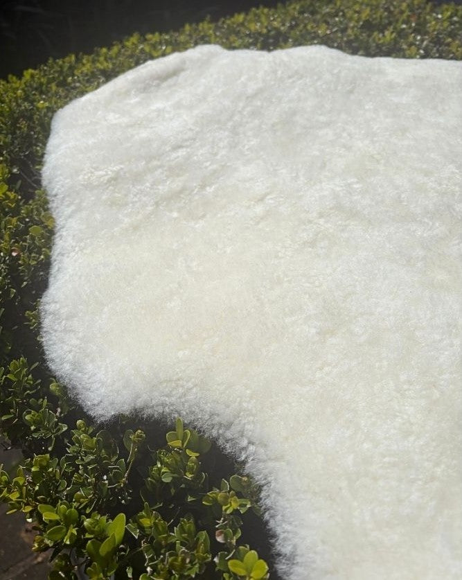 Natural white shearling sheepskin rug in natural light, highlighting its soft wool and luxurious finish.