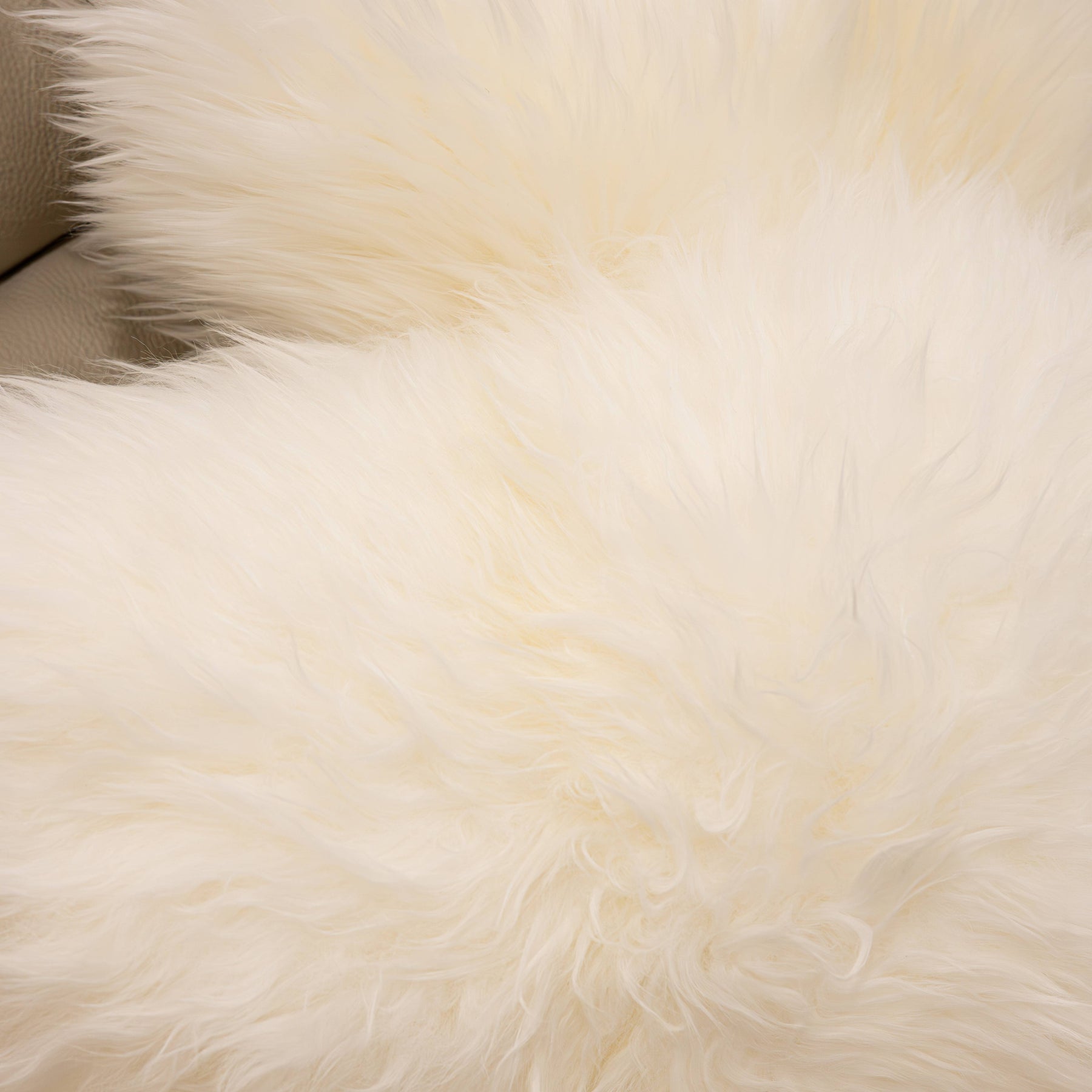 Close-up of New Zealand sheepskin cushion in natural white showing soft long wool texture and natural fibre detail