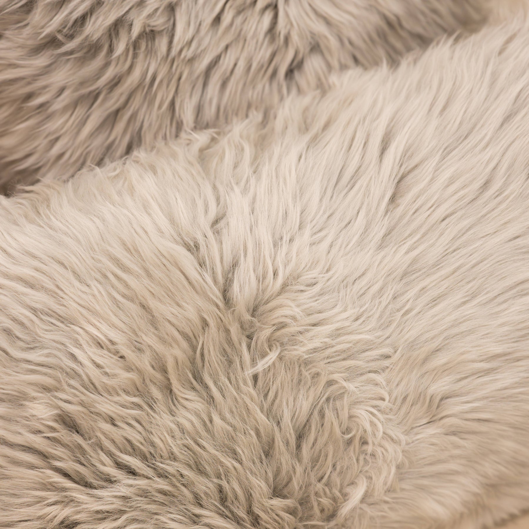 Close-up texture of New Zealand sheepskin cushion in pale grey showing soft dense long wool fibres