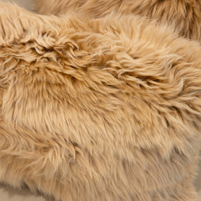 Close-up texture of New Zealand sheepskin cushion in sand showing soft long wool fibres and natural variation