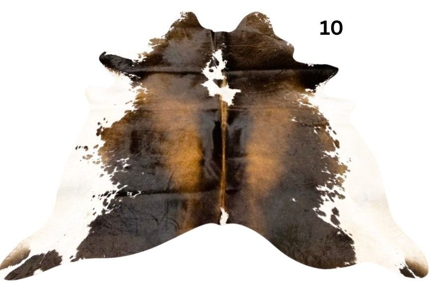Reddish brown cowhide rug small size hide 10 genuine hide with lighter base and scattered brown markings displayed on white background