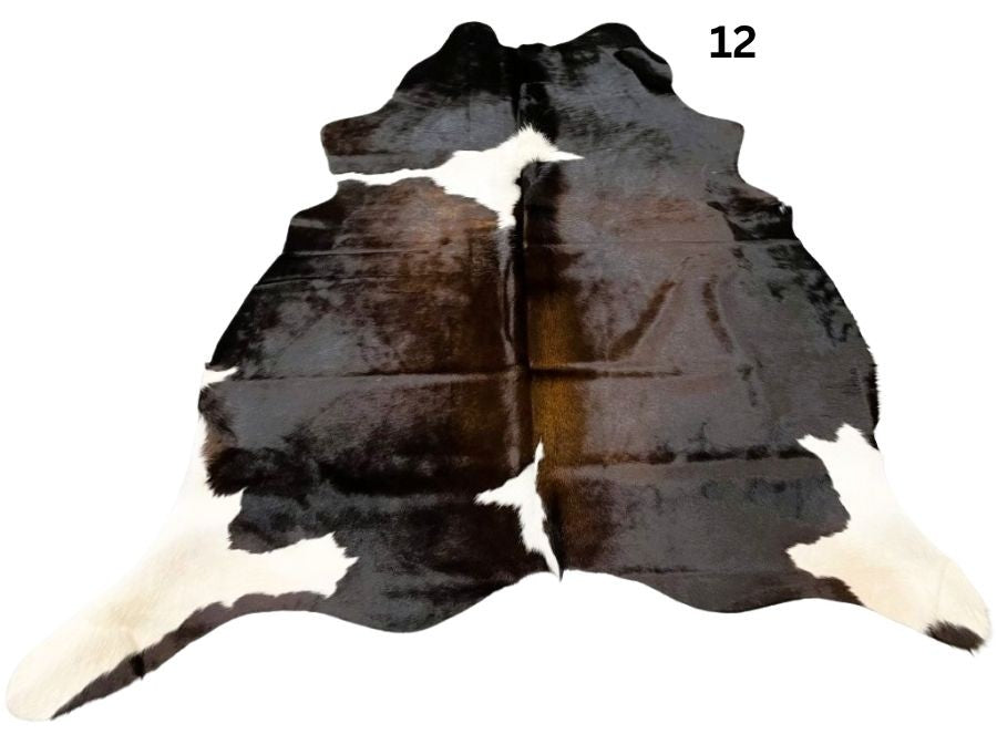 Reddish brown cowhide rug small size hide 12 genuine hide with lighter base and scattered brown markings displayed on white background