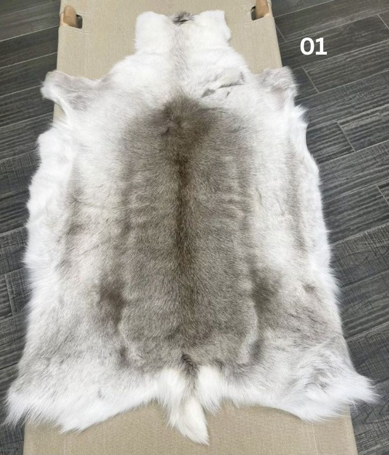 01.