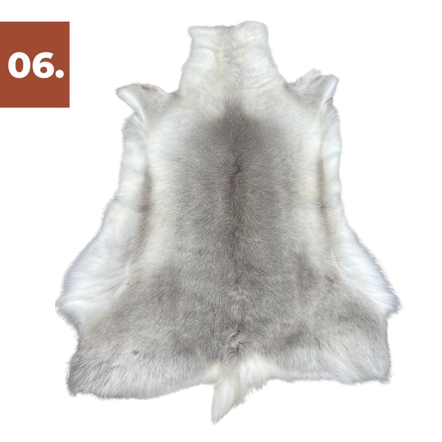 Reindeer Hide - Light