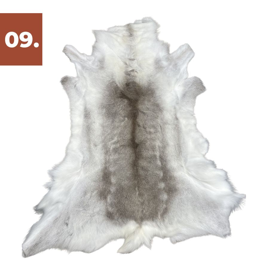 Reindeer Hide - Light