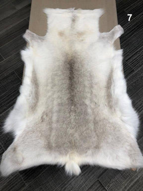Reindeer Hide - Light
