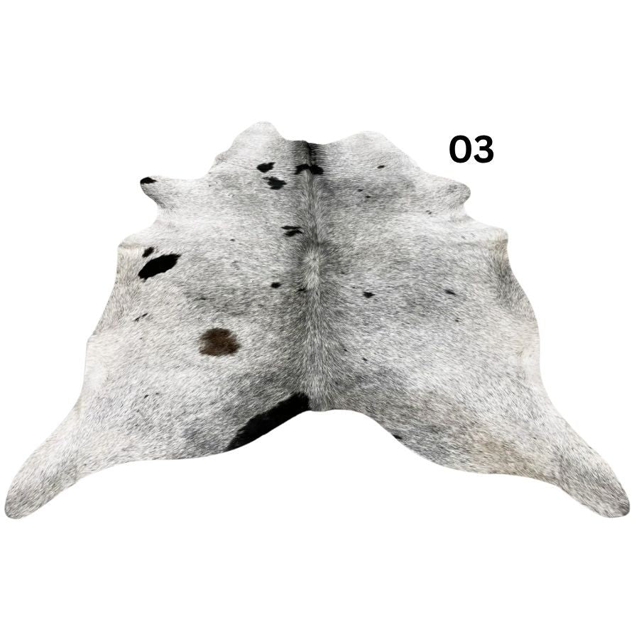 03.