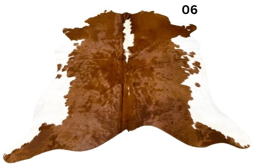 06.