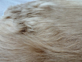 Cowhide Rug - Solid Beige (Regular)