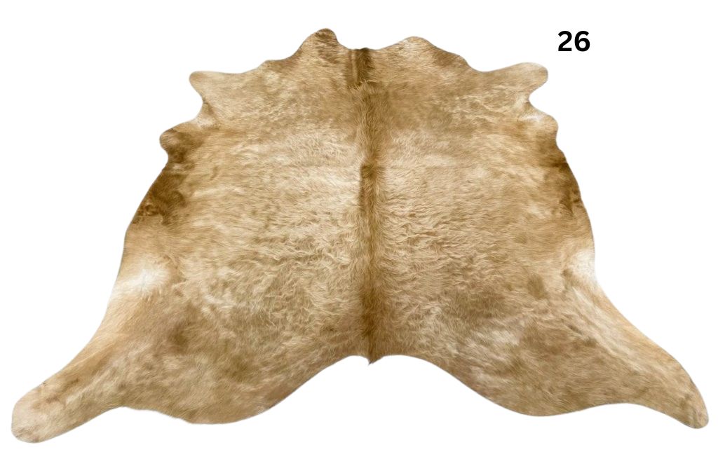 Solid beige cowhide rug number 26 with soft even tones and natural markings on a white background