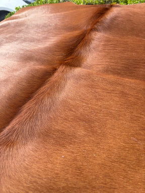 Close-up detail of a solid brown cowhide rug showing smooth natural hair texture and rich brown colour