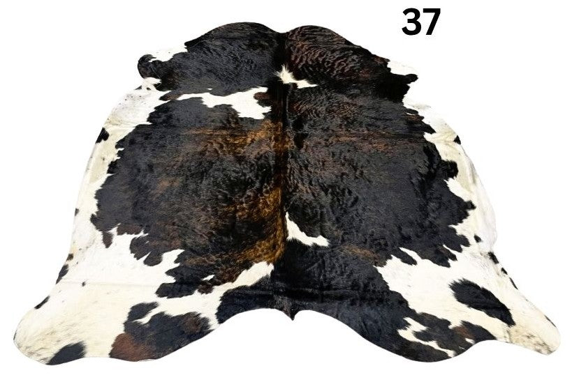 37.