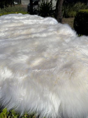 Close-up of white Merino sheepskin double hide showing soft, dense wool texture in natural light