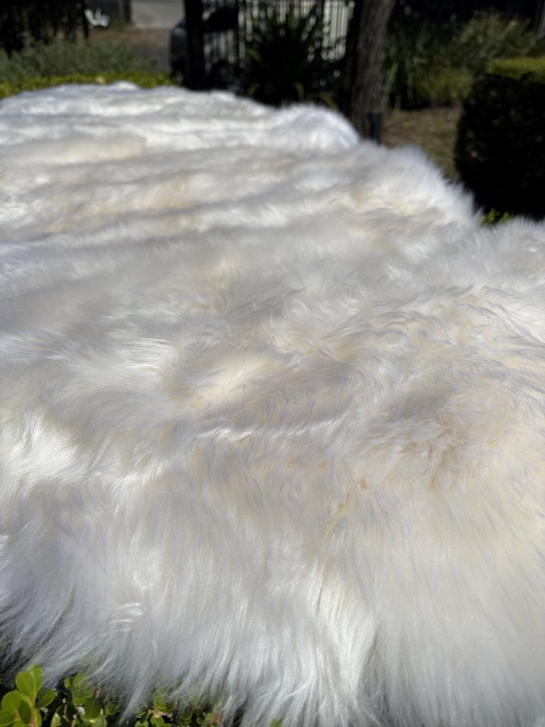 Close-up of white Merino sheepskin double hide showing soft, dense wool texture in natural light