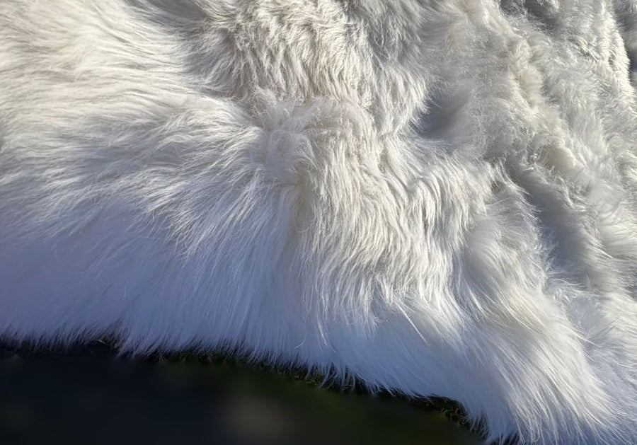 Close-up detail of white merino sheepskin rug showing natural wool texture