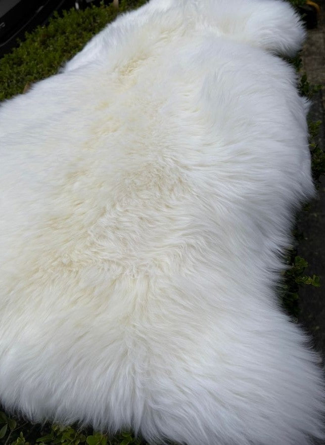 White Merino sheepskin rug shown in full natural hide shape