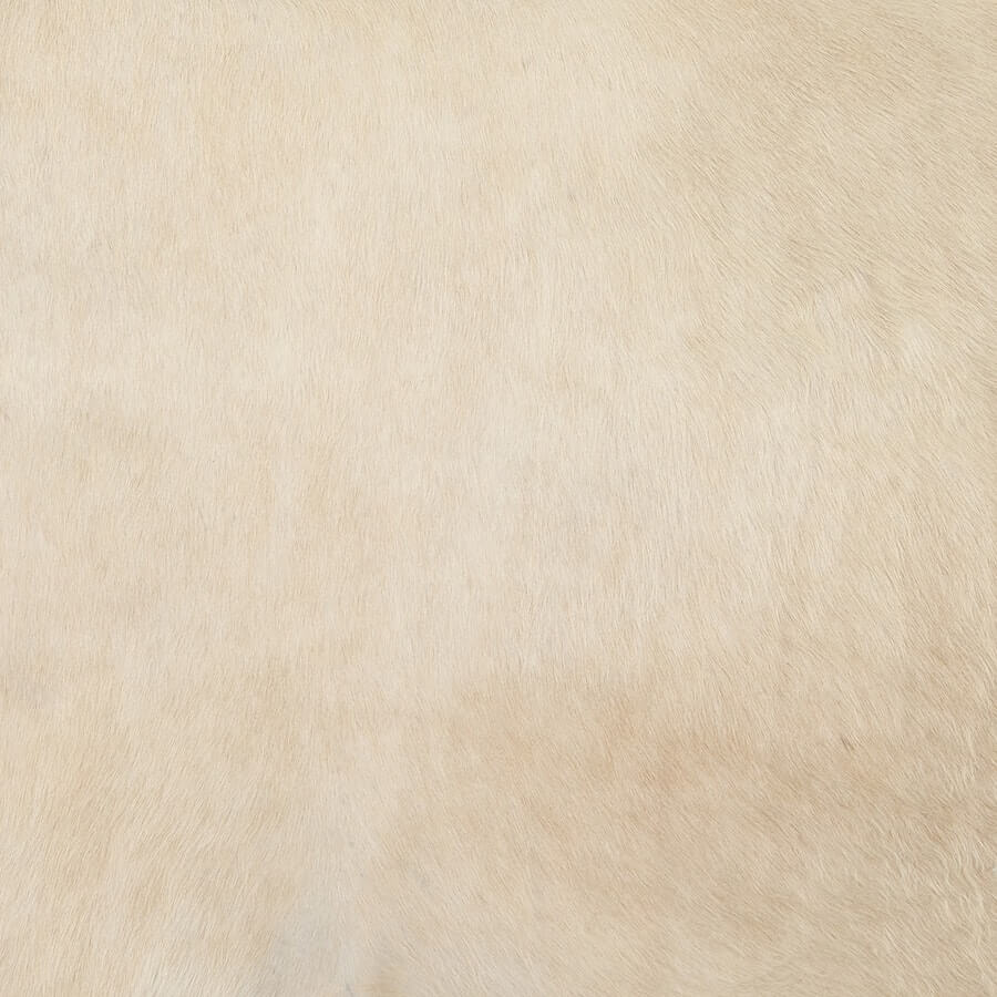 Cowhide Rug - Champagne (Small)