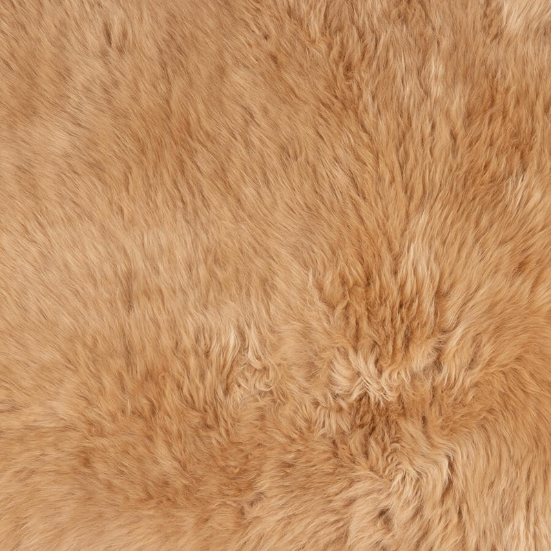 Sheepskin Rug Merino | Champagne | Hides of Excellence