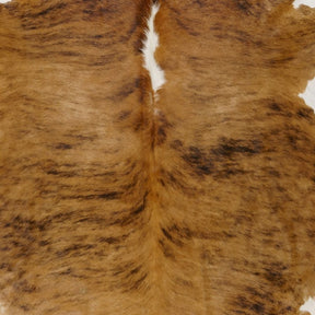 Close-up detail of white belly cowhide rug showing the white spine and natural hair texture