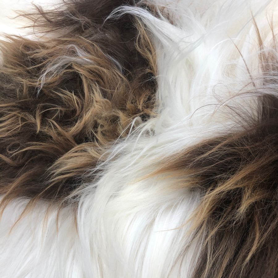 Close-up detail of natural brown and white Icelandic sheepskin wool on a bean bag
