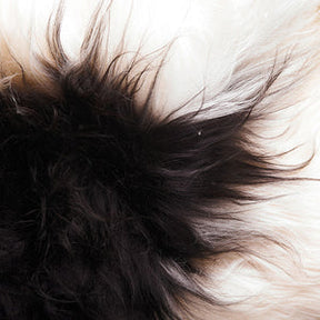 Icelandic Sheepskin Rug - Black and White Spot