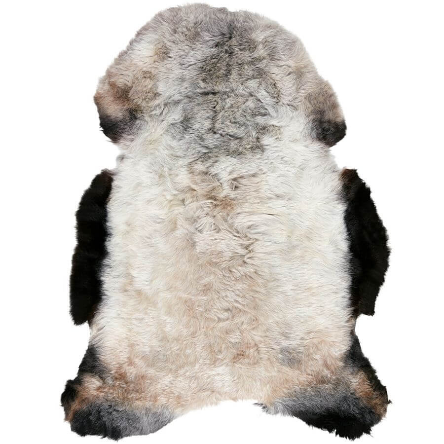 Shorn Icelandic sheepskin rug with dark edged finish shown individually on a white background
