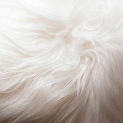 Natural white Icelandic sheepskin fleece