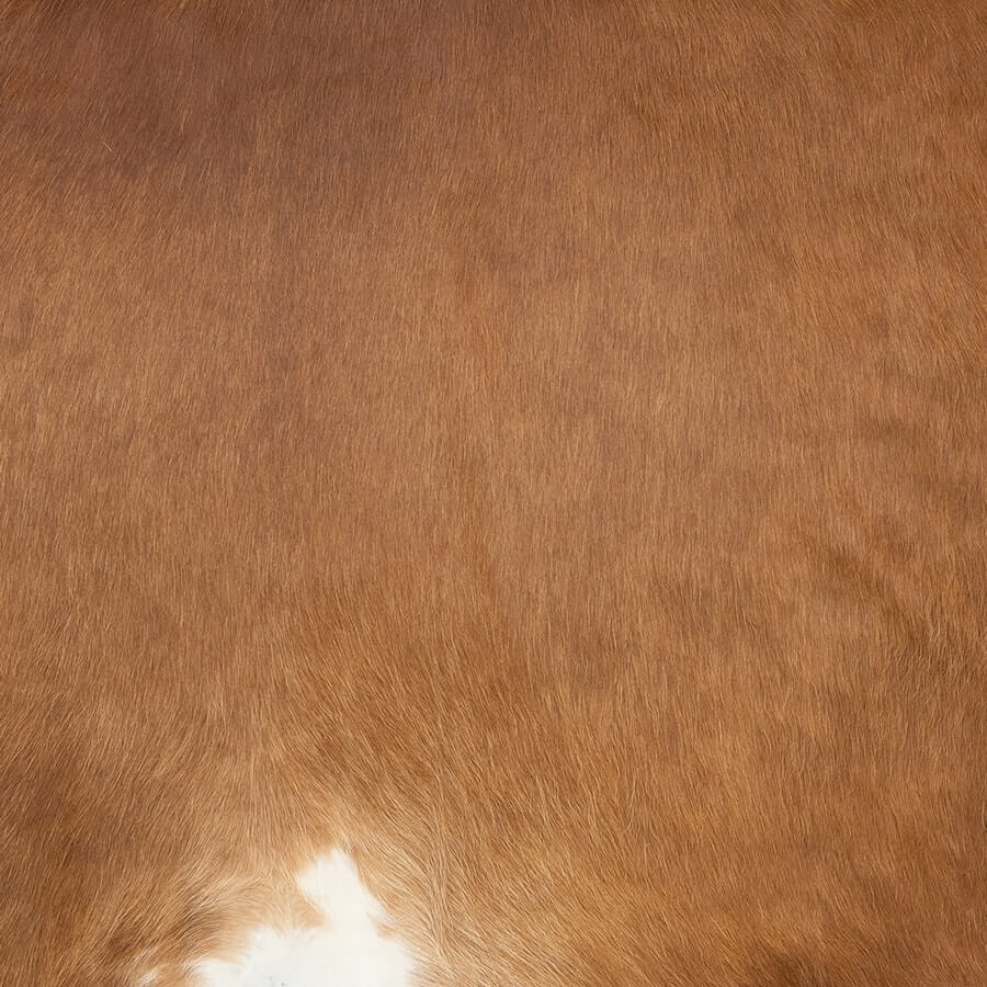 Close-up detail of a small brown and white Hereford cowhide rug showing natural hair texture and colour variation