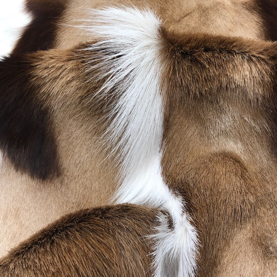 Close‑up detail of a genuine Springbok hide rug showing natural tan and white hair‑on‑hide texture and unique markings