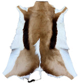 Genuine Springbok hide rug with natural tan and white markings, ethically sourced from South Africa and shown in full shape
